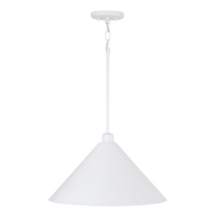 Capital Lighting Alden 1 Light Pendant