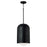 Capital Lighting Dolby 1 Light Pendant, Black Iron/Soft White