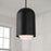 Capital Lighting Dolby 1 Light Pendant, Black Iron/Soft White