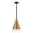 Capital Lighting Avant 1 Light Pendant, Brass/Black/Frosted