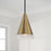 Capital Lighting Avant 1 Light Pendant, Brass/Black/Frosted