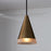 Capital Lighting Avant 1 Light Pendant, Brass/Black/Frosted