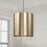 Capital Lighting Weller 1Lt Pendant, Matte Brass/Clear Seeded