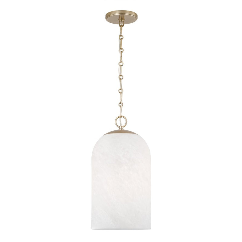 Capital Lighting Cleo 1 Light 9" Pendant, Brass/Faux Alabaster