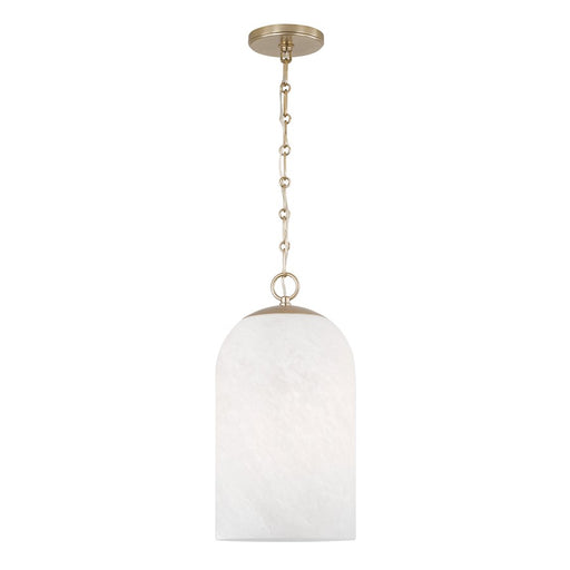 Capital Lighting Cleo 1 Light 9" Pendant, Brass/Faux Alabaster - 355811MA-553