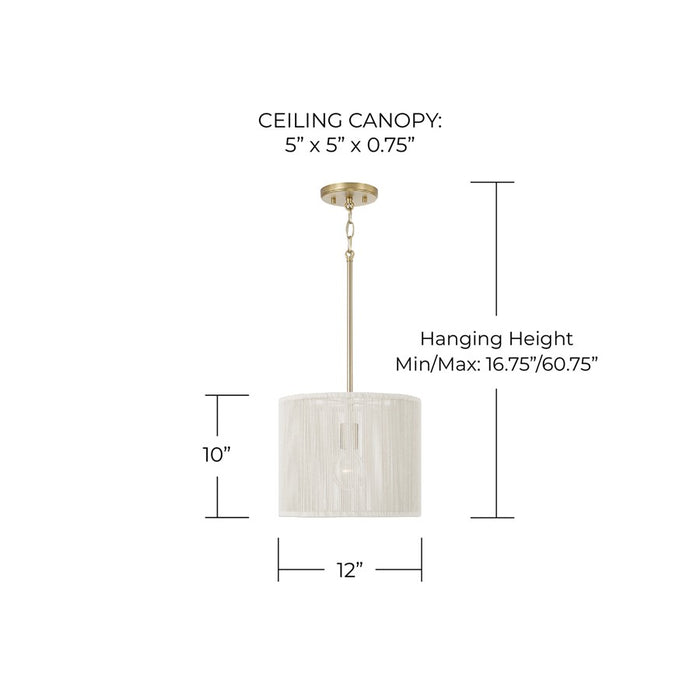 Capital Lighting Tara 1 Light 12" Drum Pendant, Matte Brass