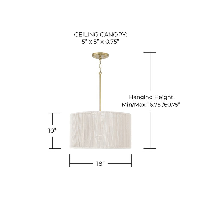 Capital Lighting Tara 1 Light 18" Drum Pendant, Matte Brass
