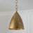 Capital Lighting Francesca 1Lt 13" Pendant, Gold/Textured Metal