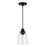 Capital Lighting Fallon 1 Light Pendant, Clear
