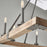 Capital Lighting 8 Light Chandelier