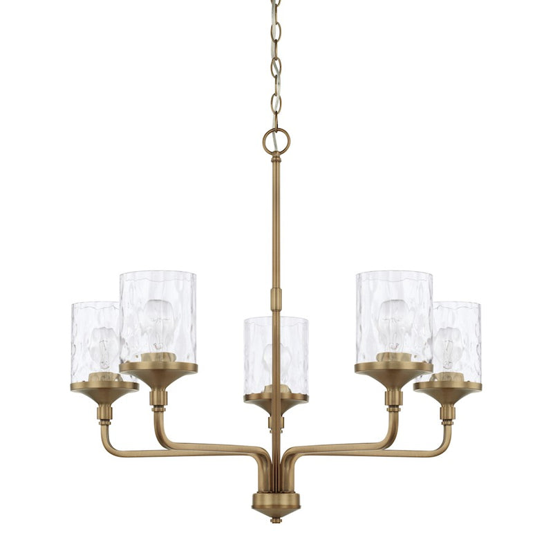 HomePlace by Capital Lighting Colton Chandelier