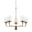 HomePlace by Capital Lighting Colton Chandelier