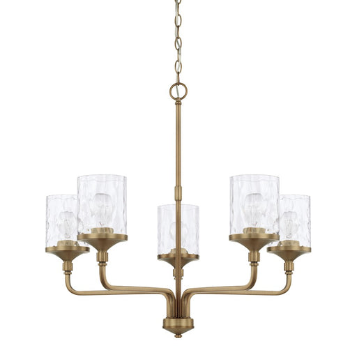 HomePlace by Capital Lighting Colton Chandelier