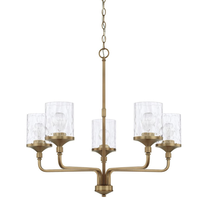 HomePlace by Capital Lighting Colton Chandelier