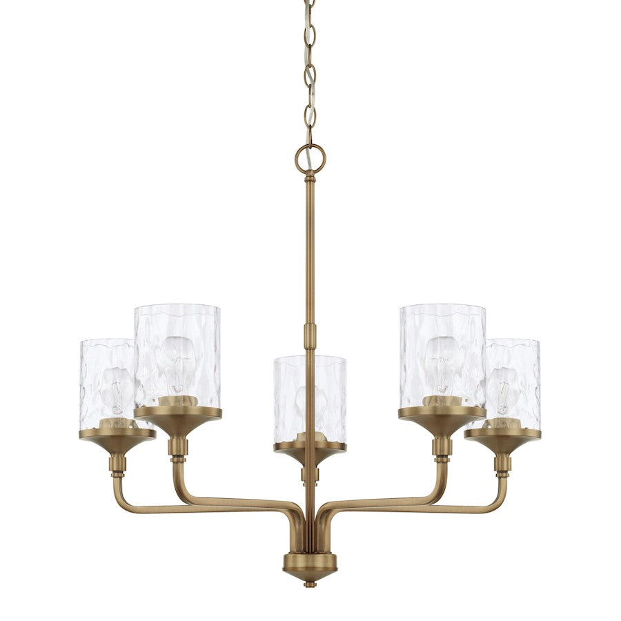 HomePlace by Capital Lighting Colton Chandelier