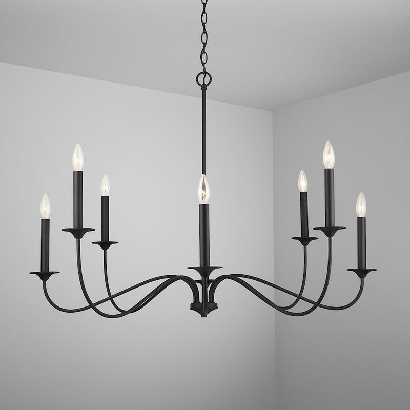 Capital Lighting Vincent Chandelier, Black Iron