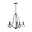 Capital Lighting Cameron 5-Light Chandelier
