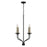 Capital Lighting Wilder 4 Light Chandelier, Black