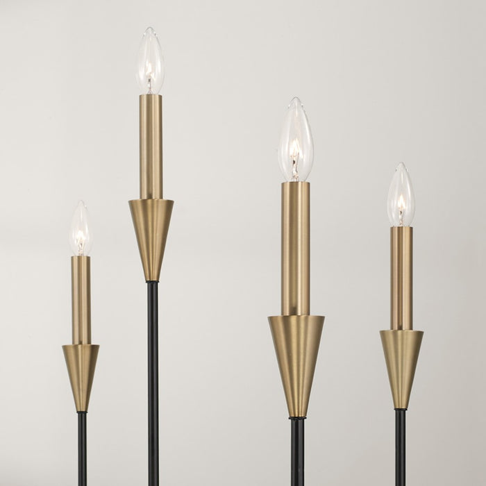 Capital Lighting Avant Chandelier, Brass/Black