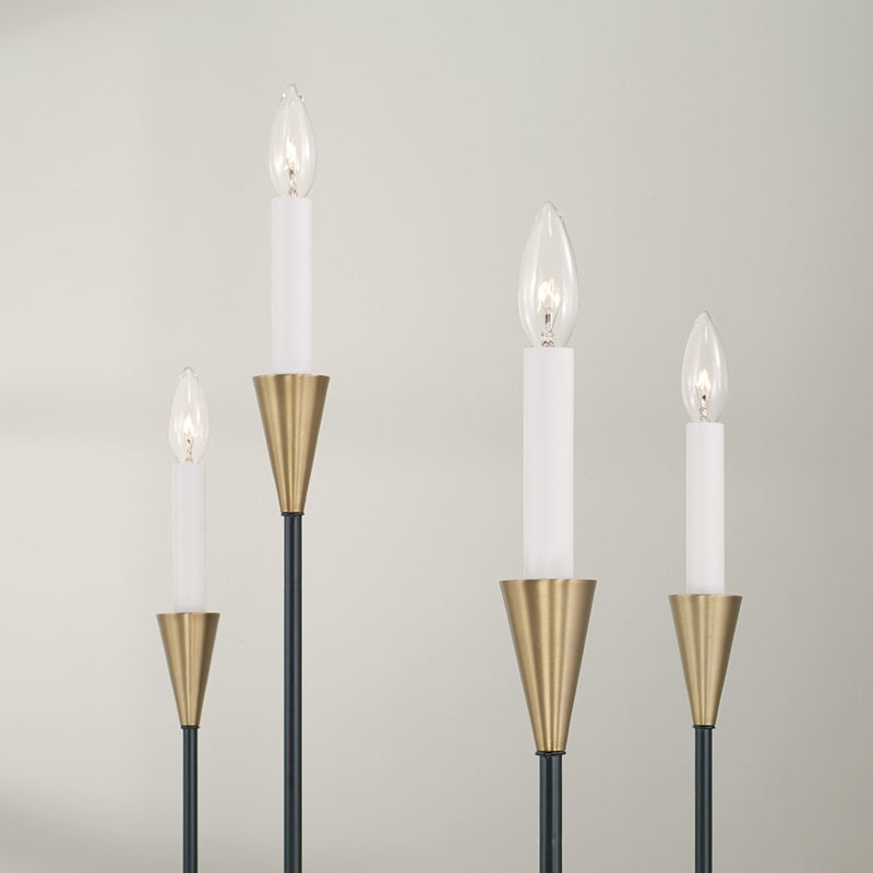 Capital Lighting Avant Chandelier, Brass/Black