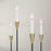 Capital Lighting Avant Chandelier, Brass/Black