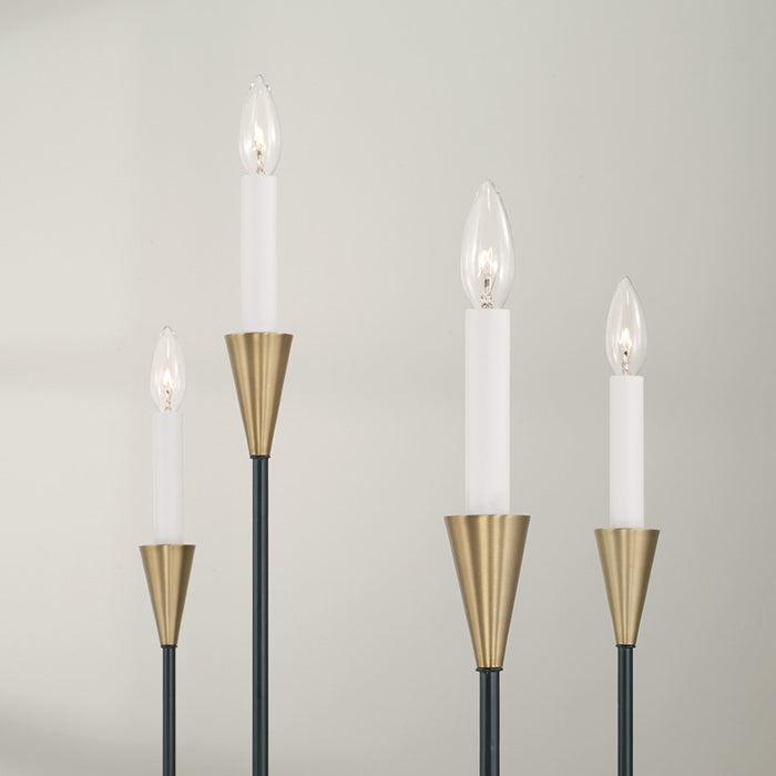 Capital Lighting Avant Chandelier, Brass/Black