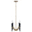 Capital Lighting Enzo 4 Light Chandelier, Aged Brass and Black
