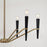 Capital Lighting Enzo 6 Light Chandelier, Aged Brass and Black