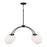 Capital Lighting Amos 4 Light Chandelier, Black Iron/Soft White - 457141BI-557