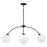 Capital Lighting Amos 4 Light Chandelier, Black Iron/Soft White