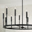 Capital Lighting Davis 12 Light Chandelier, Espresso and Brass