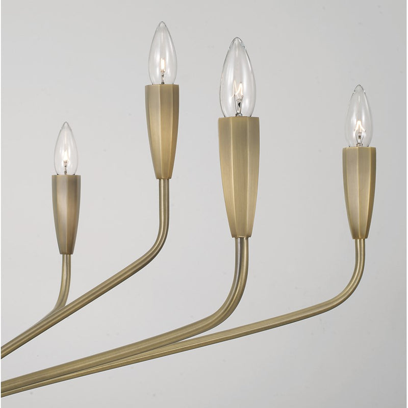 Capital Lighting Palmer 10 Light Chandelier, Antiqued Brass