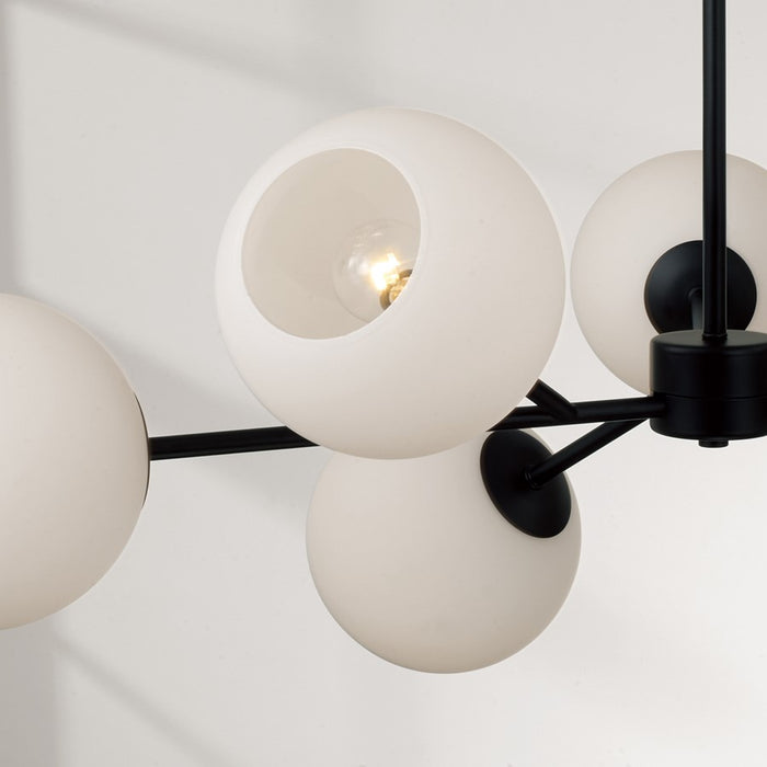 Capital Lighting Atlas 6Lt Chandelier, Black/Soft White Glass