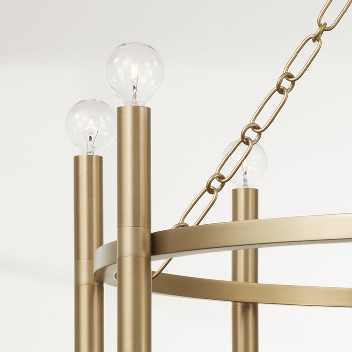 Capital Lighting Winton 8 Light Chandelier, Matte Brass