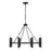 Capital Lighting Winton 8 Light Chandelier, Matte Black