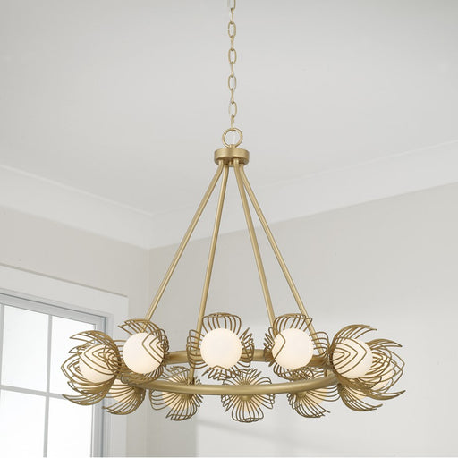 Capital Lighting Flora 12Lt Chandelier, Gold/White Glass Globes