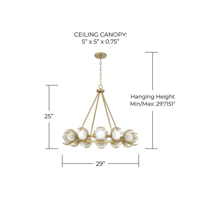 Capital Lighting Flora 12Lt Chandelier, Gold/White Glass Globes