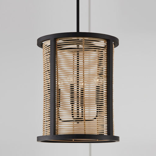 Capital Lighting Rico 4 Light Foyer, Flat Black