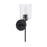 HomePlace by Capital Lighting Greyson 1 Light Sconce