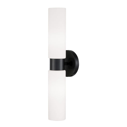 Homeplace Lighting Theo 2 Light Sconce