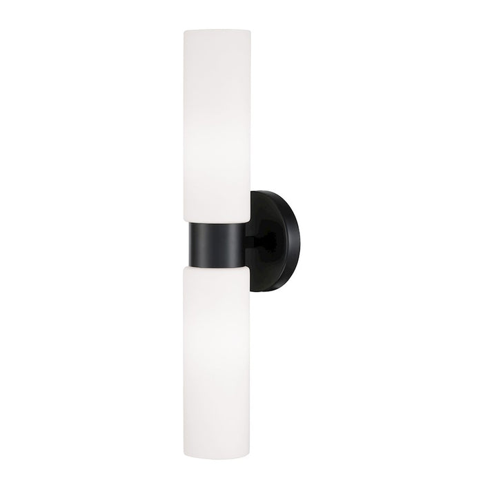 Homeplace Lighting Theo 2 Light Sconce