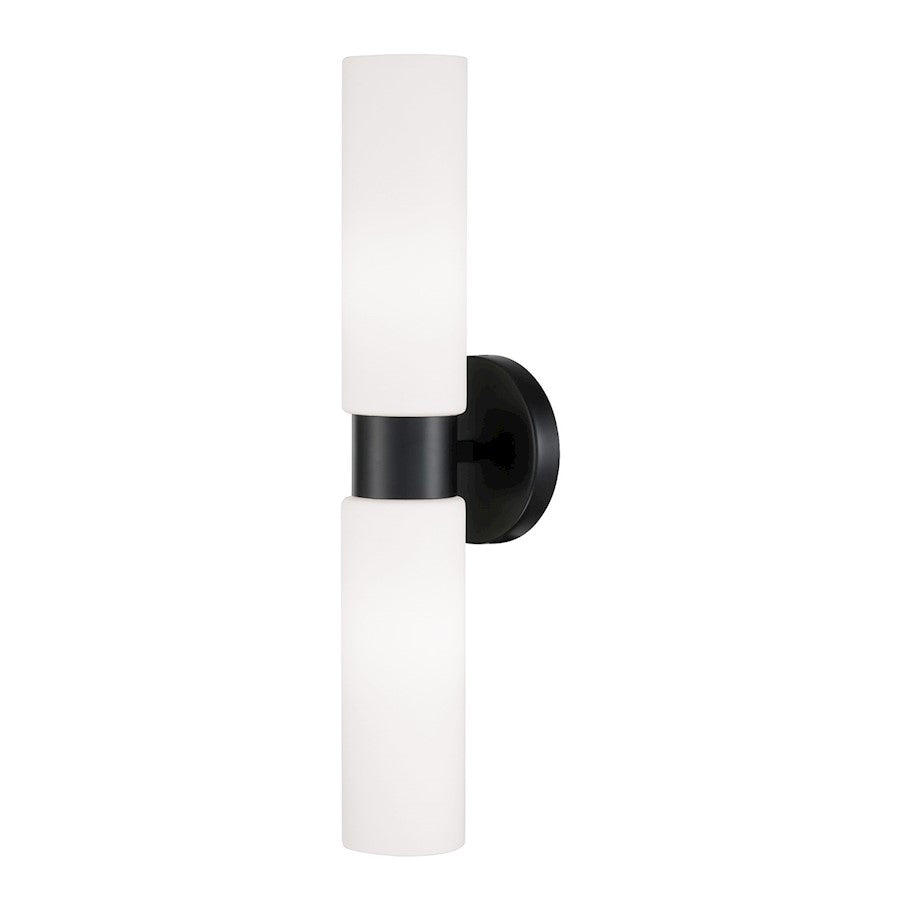 Homeplace Lighting Theo 2 Light Sconce