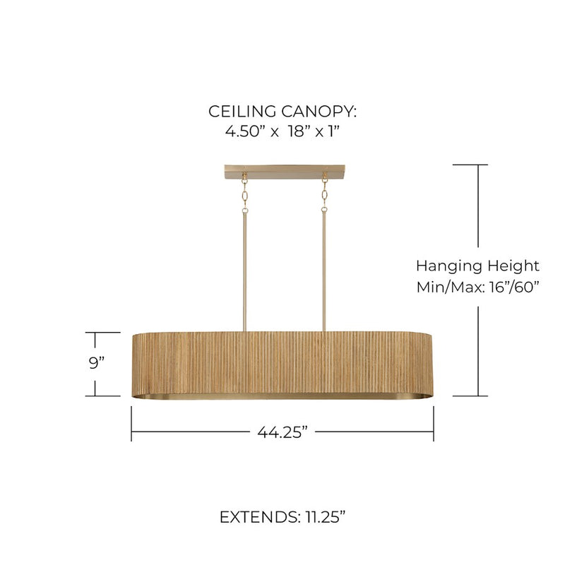 Capital Lighting Donovan 5 Light Linear Chandelier, White Wash/Brass