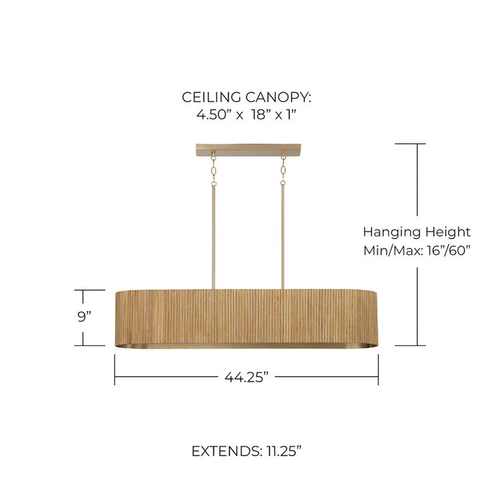 Capital Lighting Donovan 5 Light Linear Chandelier, White Wash/Brass