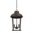 Capital Lighting Dunbar 3 Light Outdoor Hanging