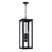 Capital Lighting Hunt 4Lt Outdoor Hanging-Lantern, Black/Clear - 934644BK
