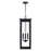 Capital Lighting Hunt 4Lt Outdoor Hanging-Lantern, Black/Clear