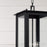 Capital Lighting Hunt 4Lt Outdoor Hanging-Lantern, Black/Clear