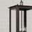 Capital Lighting Hunt 4Lt Outdoor Hanging-Lantern, Oiled Bronze/Clear
