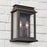 Capital Lighting BoLighton 2-Light Large Outdoor Wall Mount, Bronze/Antique